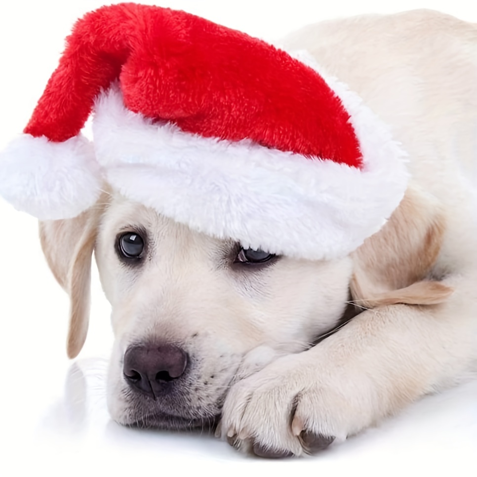 1-10PCS Luxury Soft Plush Chri - Santa Hat Plush 评论和价格